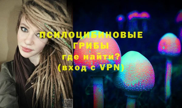 мдпв Алзамай