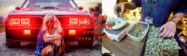 мяу мяу кристалл Алексин